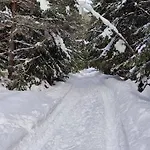 Edelweiss 3* Govedartsi