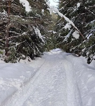 Edelweiss 3* Govedartsi